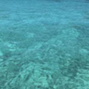 Meet your Posher, Kacey